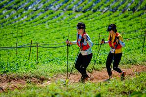 BIB: 
                            <button type="button" onclick="openModal(19163887)" class="btn btn-primary btn-sm float-right btn-popup" data-toggle="modal" data-target=".modal-high-quality">
                        <i class="fas fa-shopping-cart"></i> Add to Cart
                    </button>
                                            <button type="button" onclick="isThisMe(19163887, true)" class="btn btn-success btn-sm float-right btn-popup btn-isme hidden" data-toggle="tooltip" data-placement="bottom" title="นี่คือรูปของคุณใช่ไหม คลิกที่นี่เพื่อเอาเข้าอัลบั้ม">
                        <i class="fas fa-plus"></i> Add to album
                    </button>
                    <button type="button" onclick="isThisMe(19163887, false)" class="btn btn-warning btn-sm float-right btn-popup btn-isnotme hidden">
                        <i class="fas fa-ban"></i> Remove from album
                    </button>